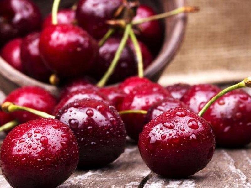 Вишня купить саженцы из питомника во Владимире